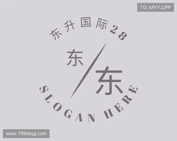 解读东升国际28